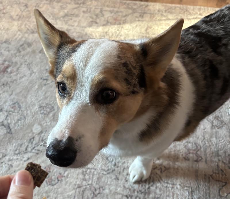 "give me more!!!"