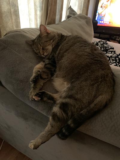My Ella sleeping