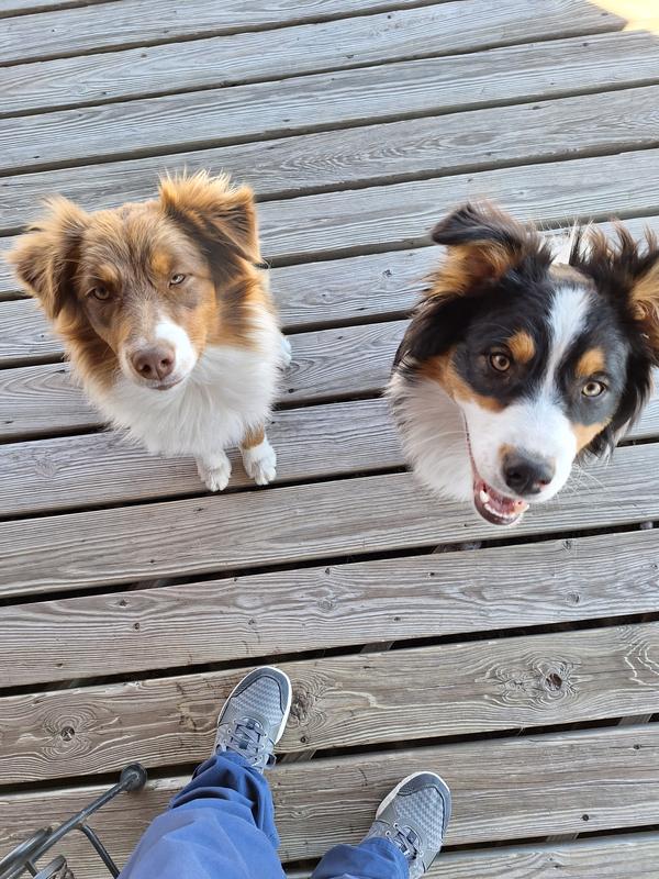 Rosie and Rudy