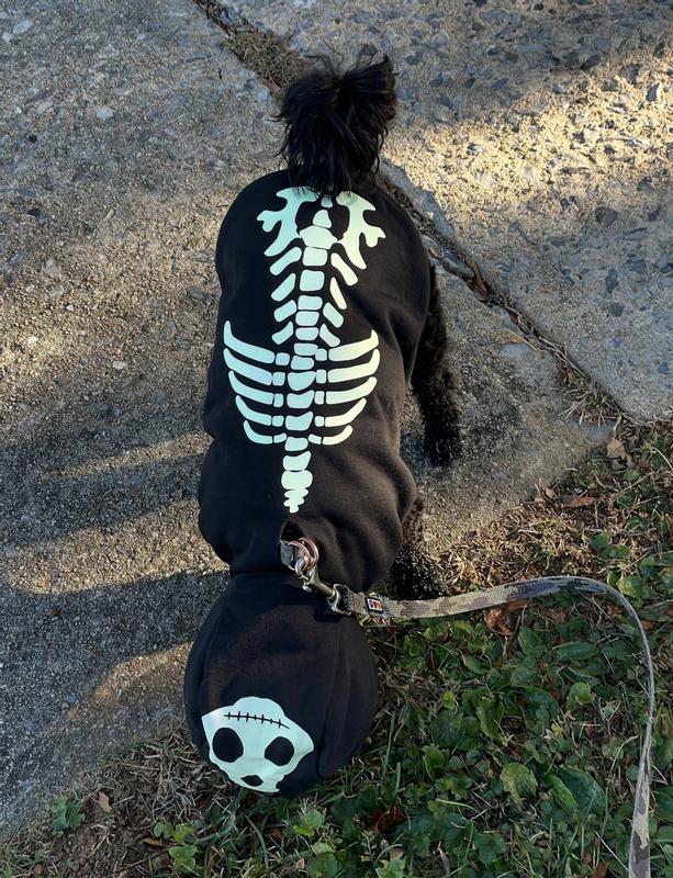 Happy Halloween from Bentley Bones!