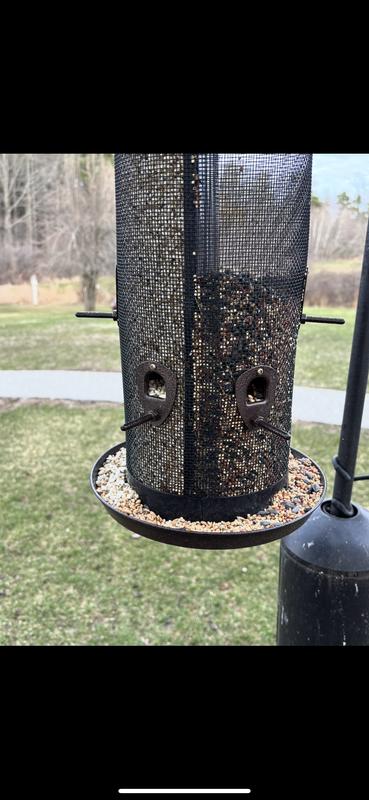 See the other food going quicker