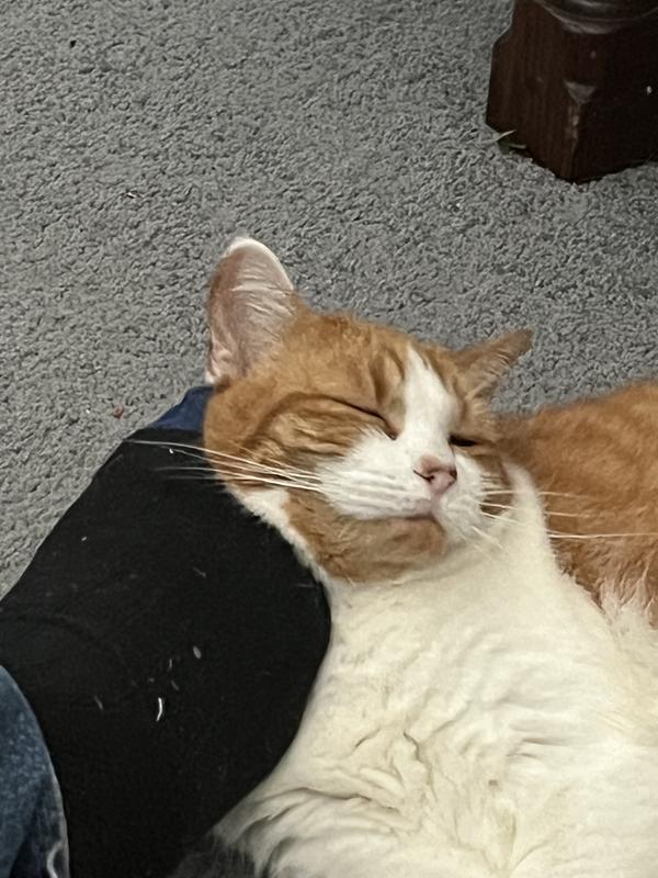 She loves her “foot loving”.