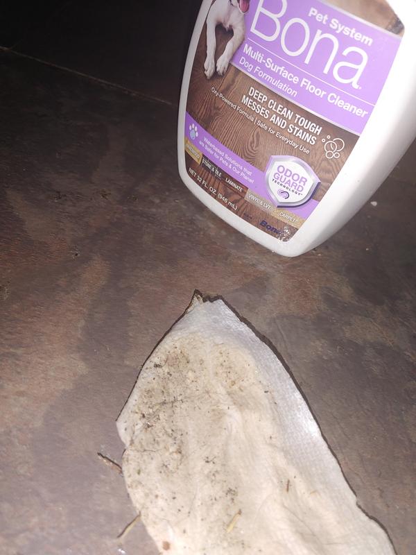 Using Bona Pet System Multi Surface Cleaner on my Boxer dogs dirty messes.