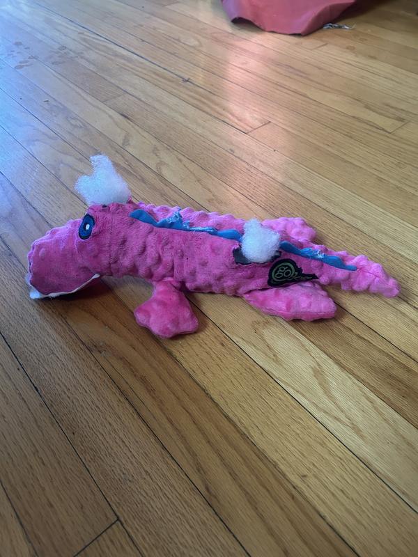 Attacked by aggressive chewer.