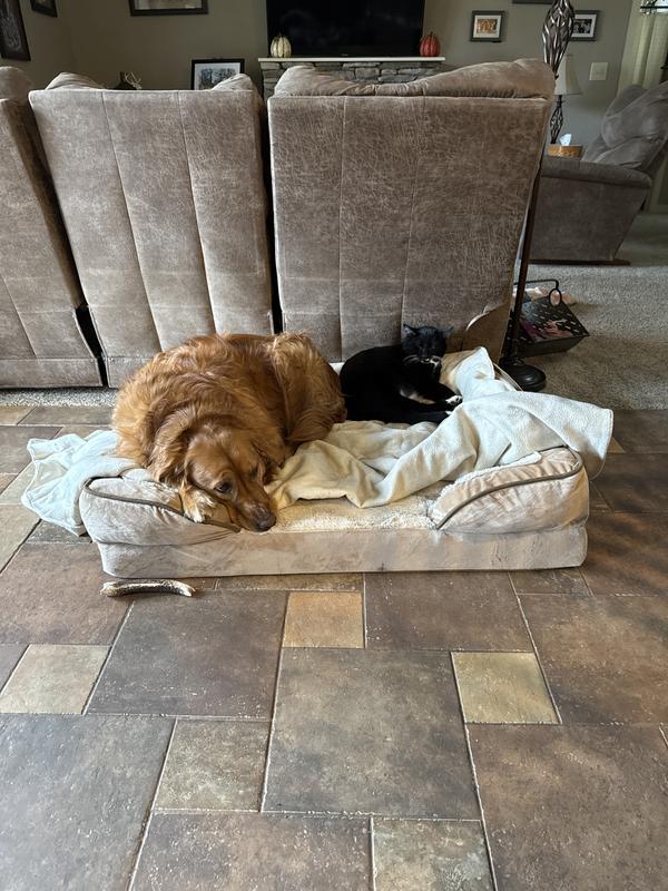 FurHaven Velvet Waves Perfect Comfort Orthopedic Sofa Cat & Dog Bed