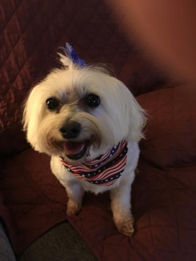 she is 9 years old and acts like a puppy
