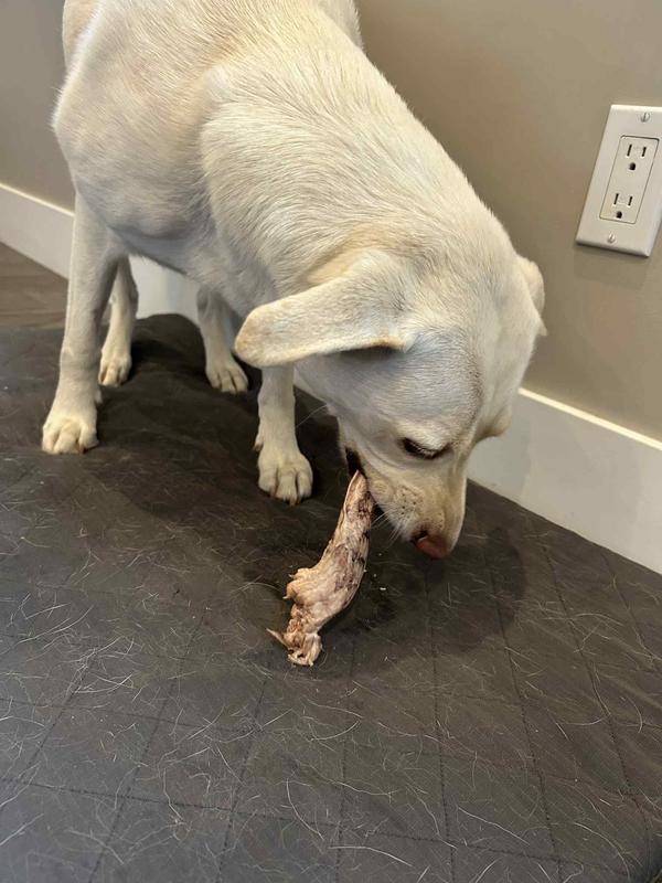 High quality crunch without risk of splintering or damaging the dog's mouth