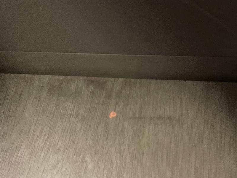 Chipped upon arrival