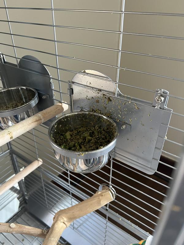 This is his food mixed with veggies