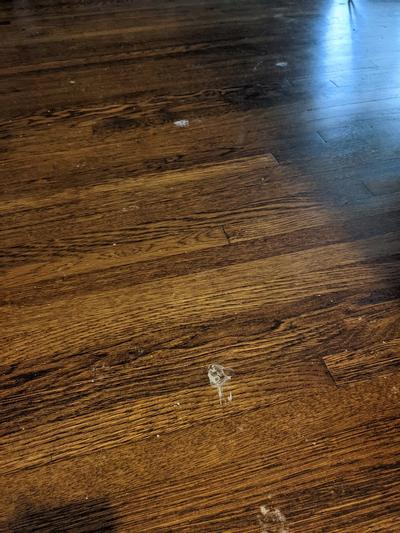 Mysterious litter prints