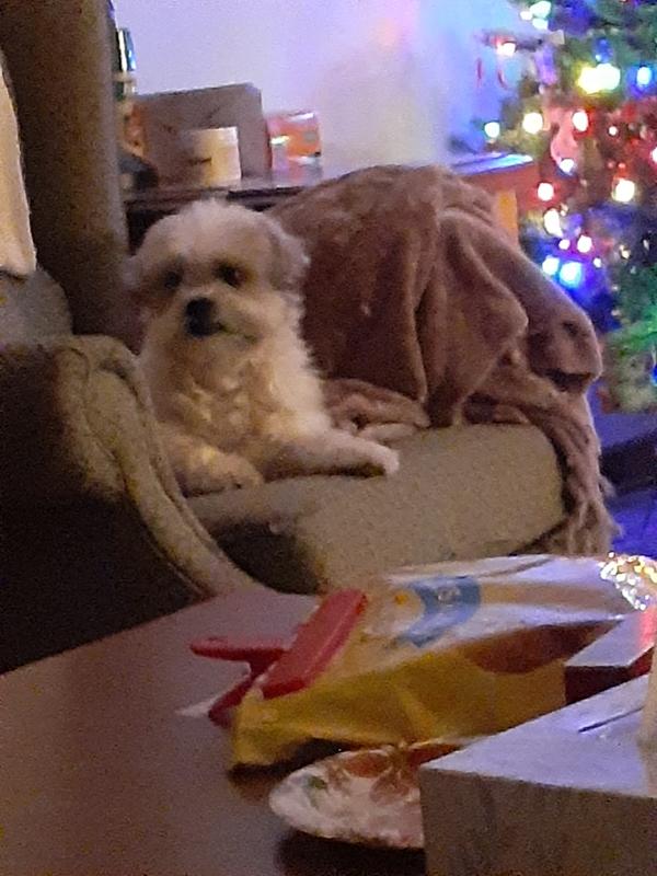 Come on mom, get up and get your coffee!