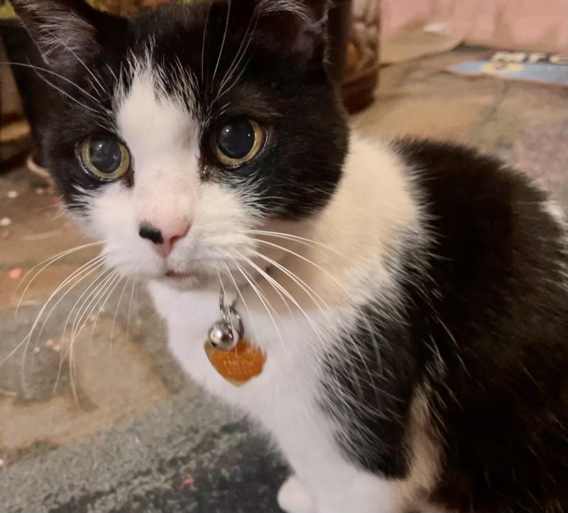 Showing off the bell.