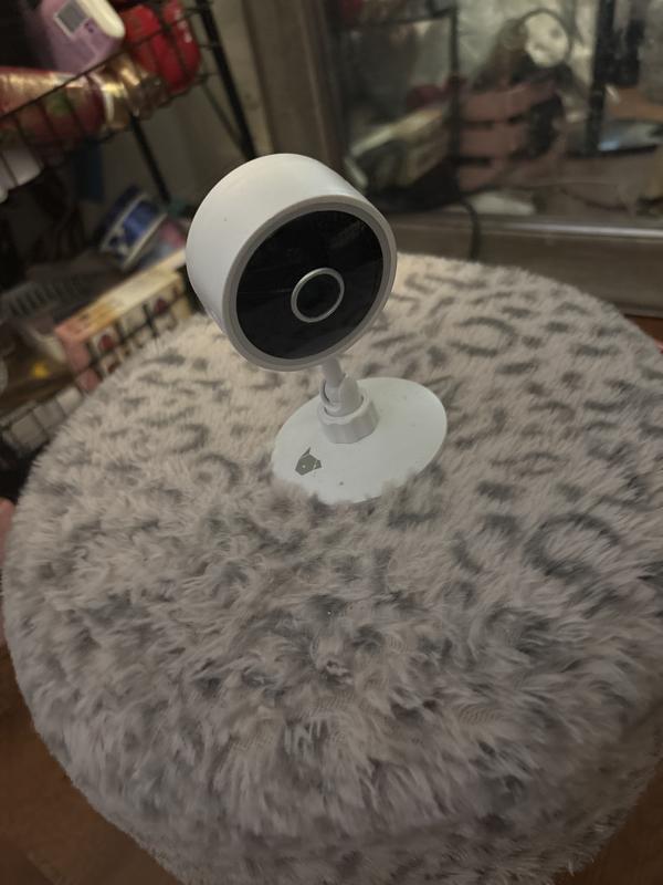 INSTACHEW Puresight Mini HD Pet Camera, White - Chewy.com