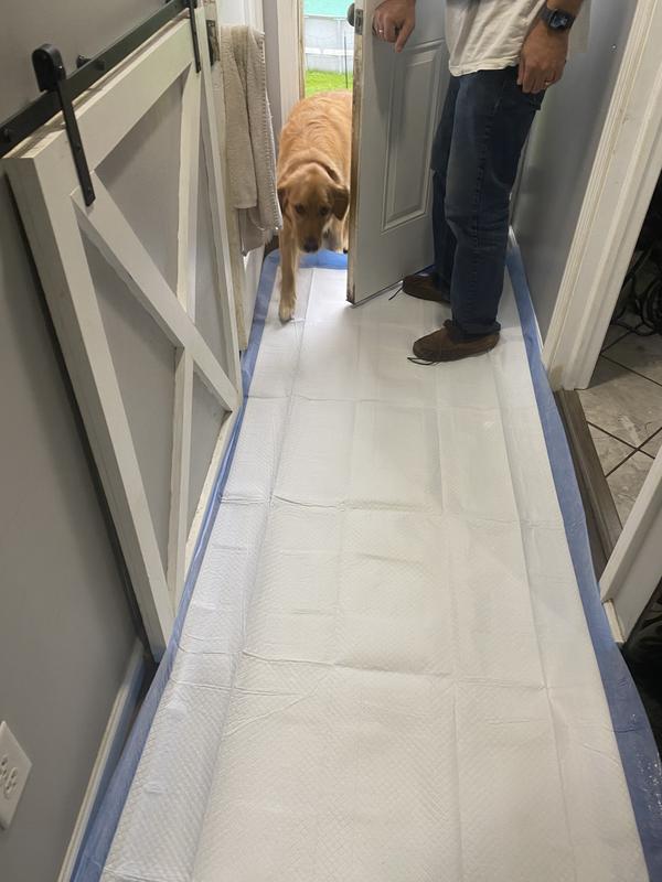 Can be used for more than just a potty trading pad! We used it as runner for muddy paws! The rain and mud in upstate NY is crazy right now.