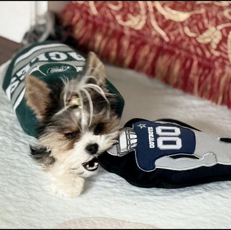 Coco is definitely not a Dallas fan.