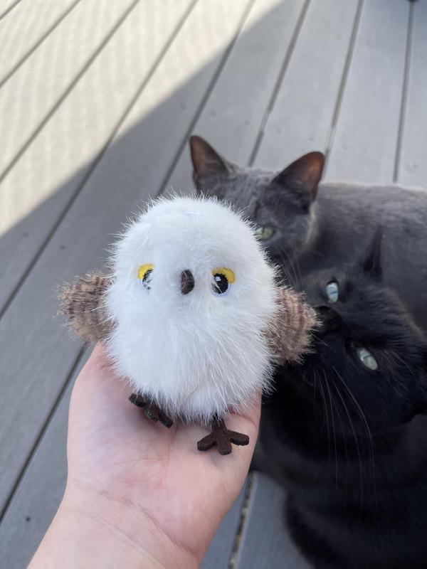 Size comparison to hand, boys are hopping they’ll get their toy back soon!