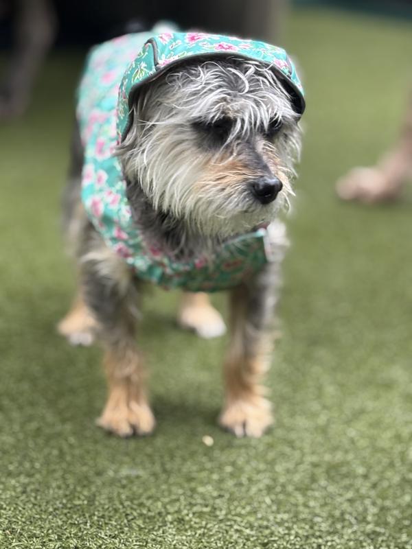 Covers ears but she can still see!