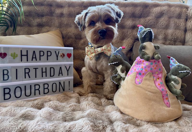 Check IG priskypaws for full video