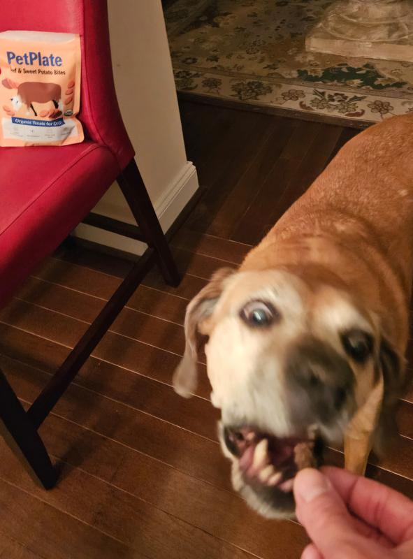 I'll just take that NOW