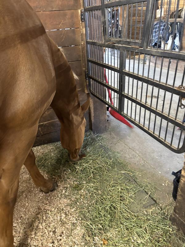 He pulls all the alfalfa out of his hay pile.