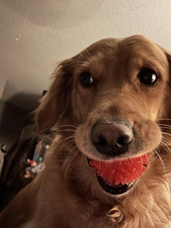 River and her support ball.