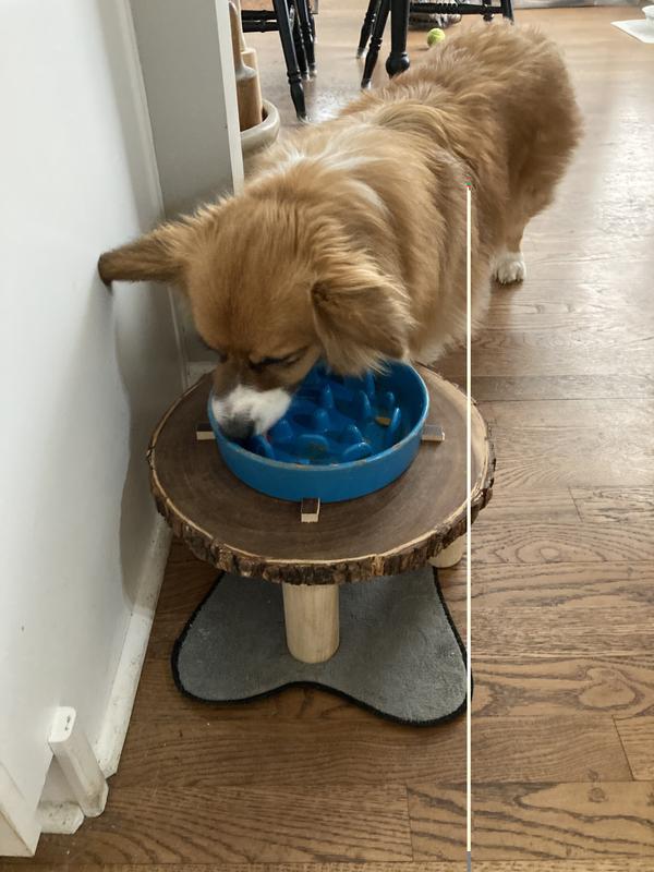 Jackson said “Shucks, it’s all done!”