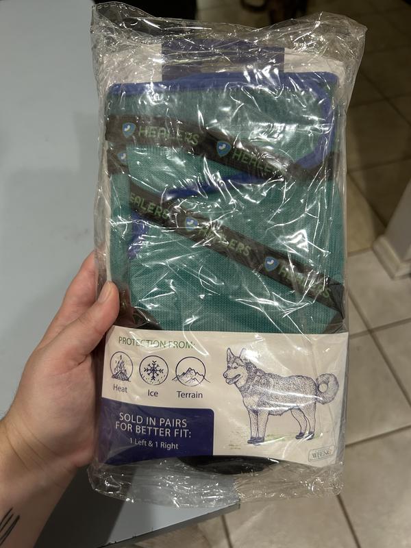 no dog has feet this big