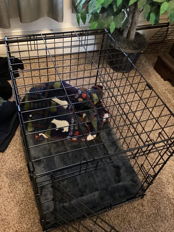 ICrate with comfy cushion and her favorite blanket