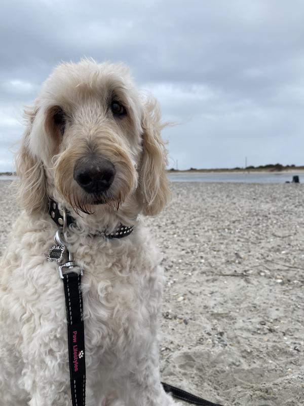 Boone loves the beach