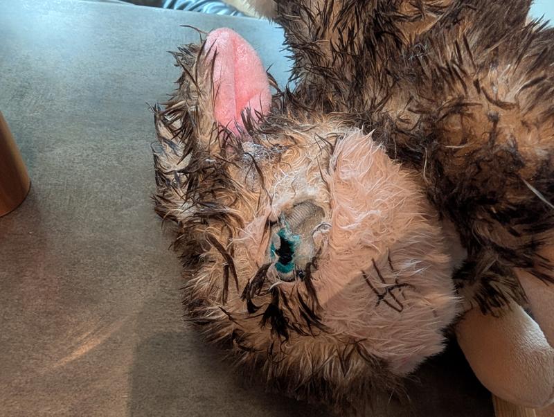 Embroidered eye is a point of entry to the stuffing