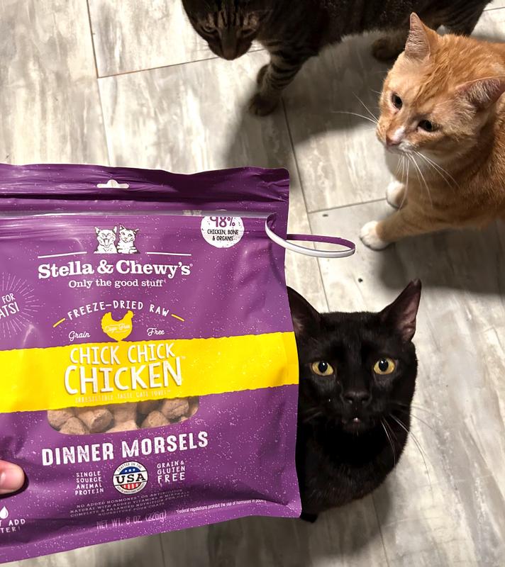 Stella and chewy shop cat food review