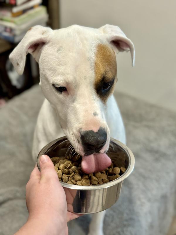 This picky eater enjoyed it!