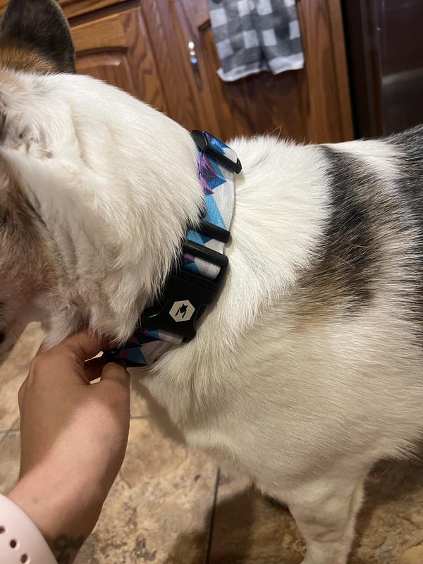 Look at how great it looks on our handsome boy!