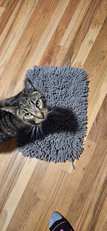 Added bonus of cat bed