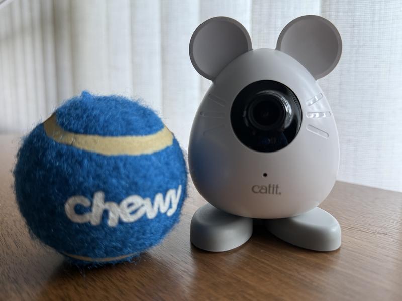 Tennis ball for reference