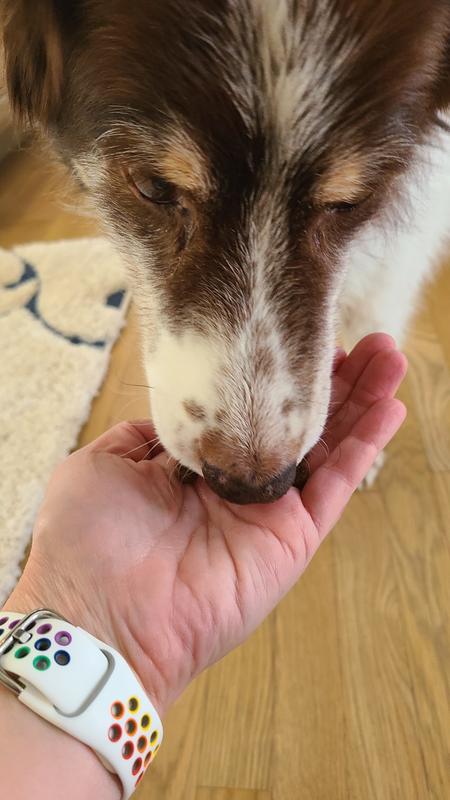 My dog didnt hesitate to scarf them down