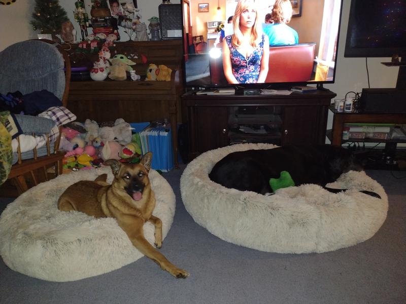 FRISCO Eyelash Cat & Dog Bolster Bed, Silver, Large