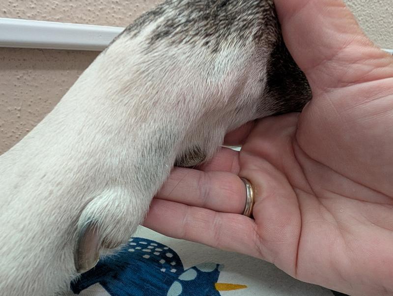 No more spot after a few treatments