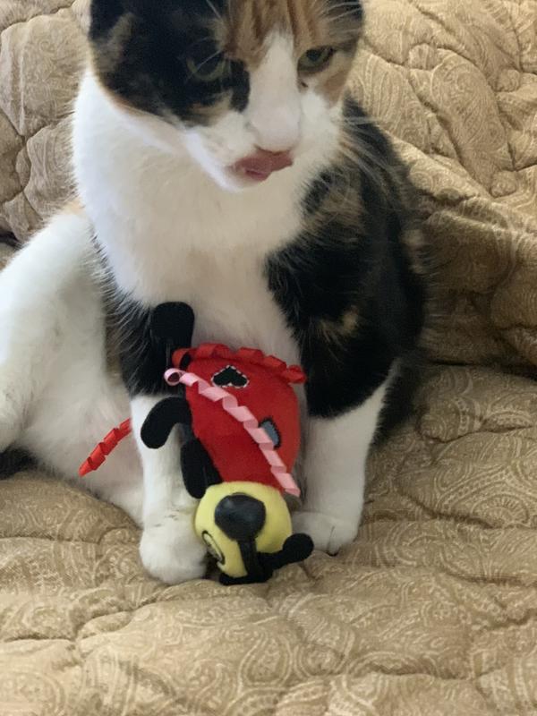My cat loves her new toy!