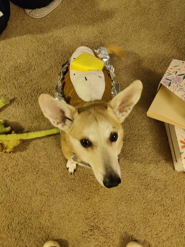 Sporting that tato