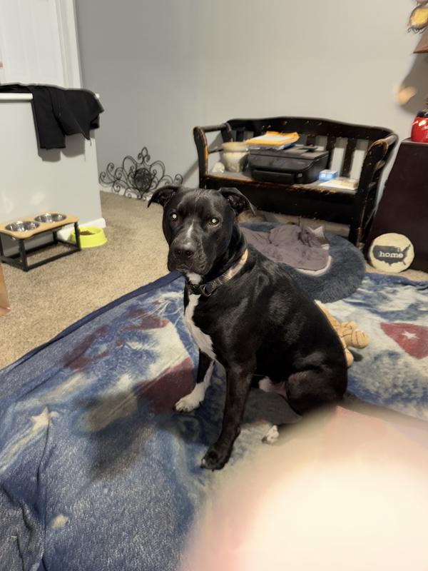 Feed me please dad 😊