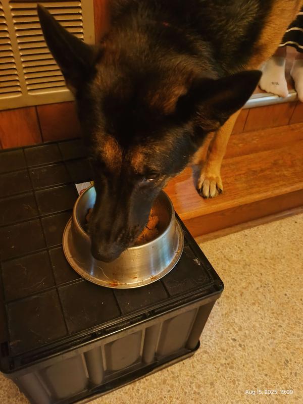 Doggo said its okay, will eat, not super tasty