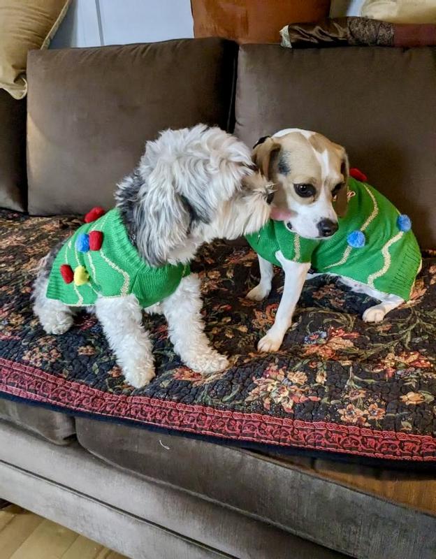 Holiday Kissin' Cousins