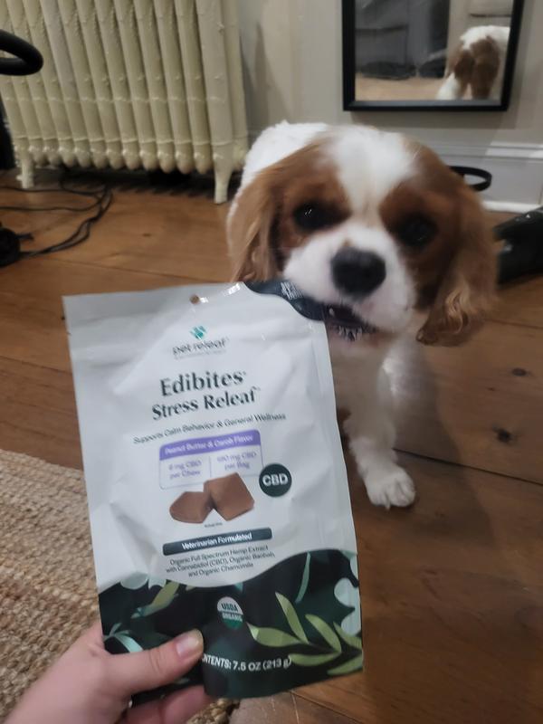 Smelled it as soon as I opened the box!!