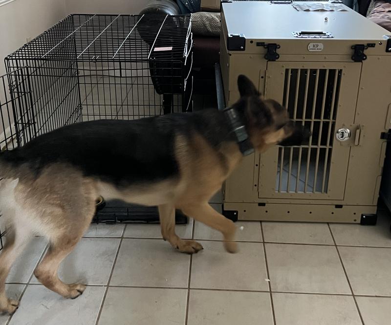 Comparison to a similar size wire crate