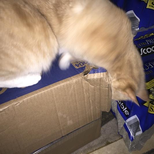 Pierre - This box is for ME!!!!