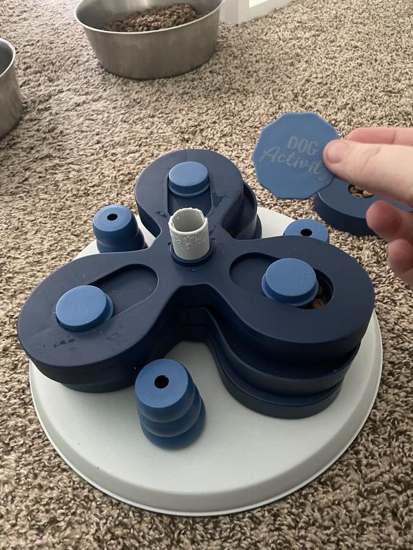 Full photo (they managed to remove the first layer of it too as it was found nearby)