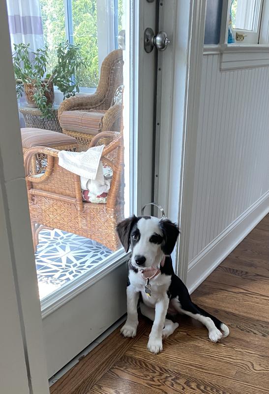 She’s blocking it a bit but she nudges it with her nose!