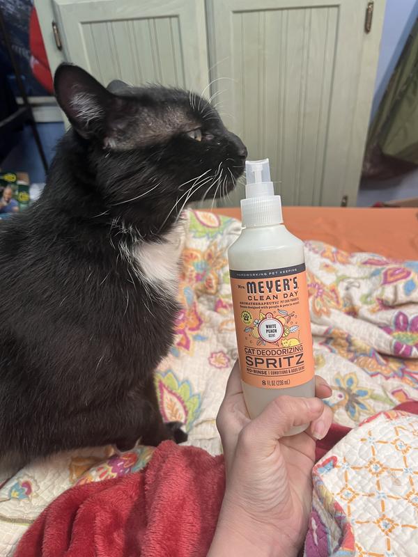 Busy says ‘Smelly Cat’ is canceled. One spritz and he smells like he just left the spa—white peach perfection, no bath required!