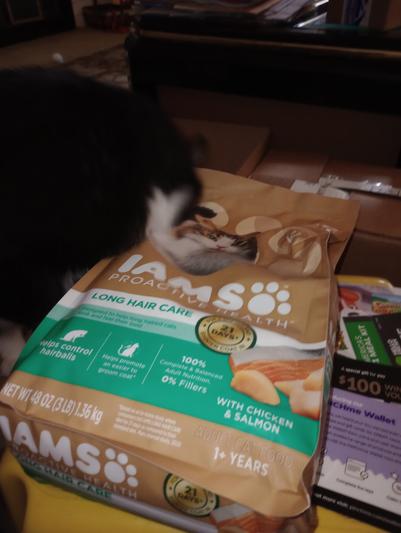 IAMS Proactive Health Long Hair Care with Real Chicken Salmon